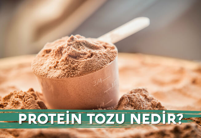 Protein Tozu Nedir ve Nasıl Üretilir?